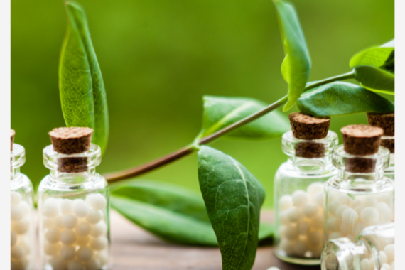 Homeopathy: A Window into this Dynamic Holistic Medicine